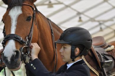 Il cavallo da compagnia è fuori dal redditometro