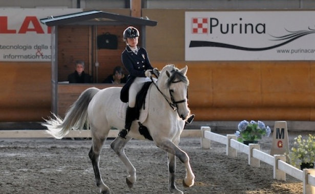 Dressage: Ottima prima giornata azzurra a Sommacampagna