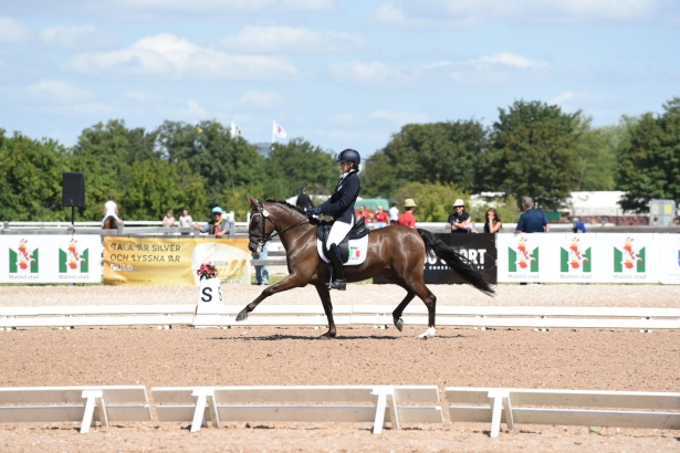 EUROPEI PONY: Dressage. Le prime due amazzoni in rettangolo a Malmö