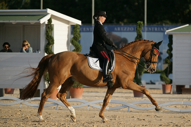 DRESSAGE: Campionato Italiano. Truppa subito in vetta