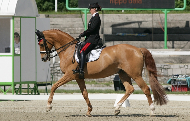 DRESSAGE: I risultati della seconda giornata di Villach Treffen