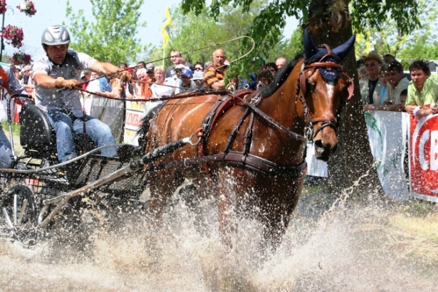 ATTACCHI: Campionato Italiano completo. A Cividini il titolo singoli 2° grado