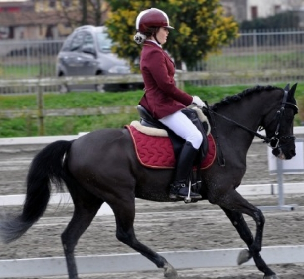 DRESSAGE: I Campioni d'Italia Pony