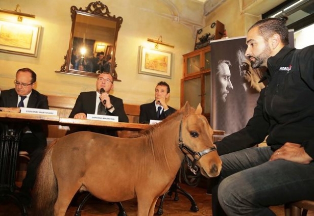 ATTUALITÀ: Charlie è il portafortuna di Fieracavalli 2013