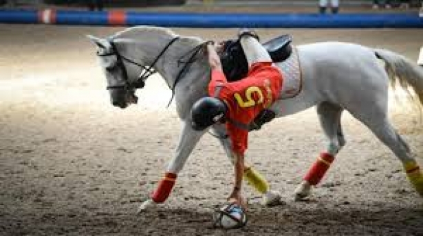 HORSE BALL: On line i programmi del Campionato Italiano Senior