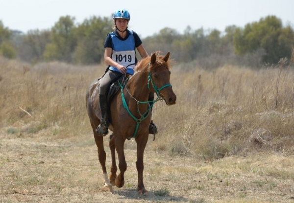 Endurance: Tutto pronto per il Campionato Young Rider