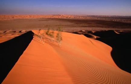 Endurance: bene Zappettini e Fumagalli ad Abu Dhabi