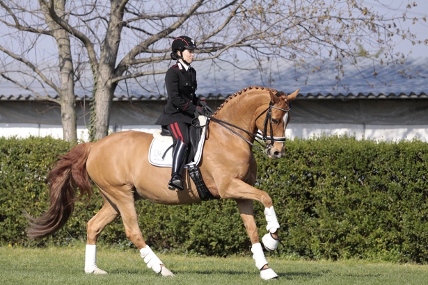 DRESSAGE: A Valentina Truppa il Grand Prix di Fritzens