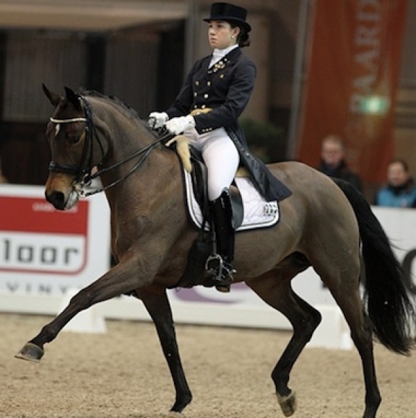 Dressage: Italia al settimo posto europeo con Prijs Vitale