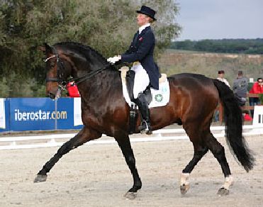 Dressage: Rizzo a segno nel Gran Prix Special