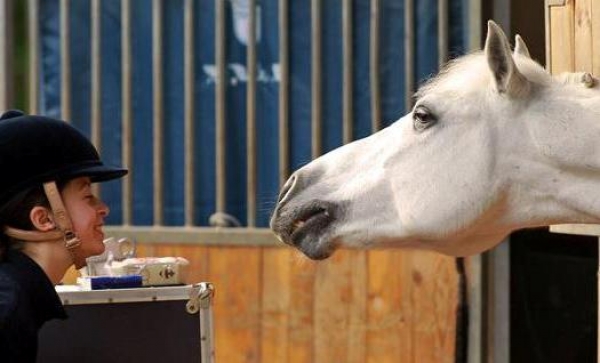 Dressage: i nuovi campioni d’Italia 