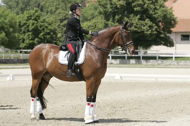 DRESSAGE: Truppa incanta Lipica