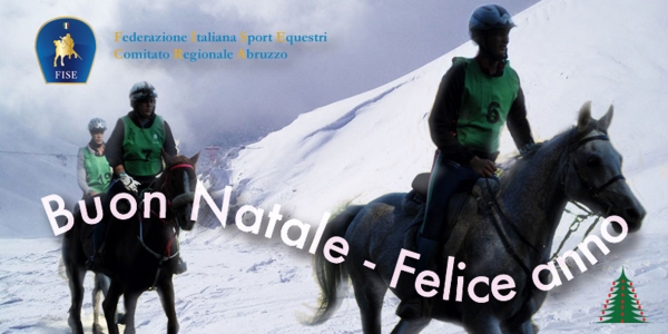 Buon Natale e Felice Anno Nuovo