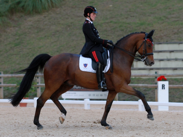 DRESSAGE: Iemi seconda nel Freestyle di Biarritz