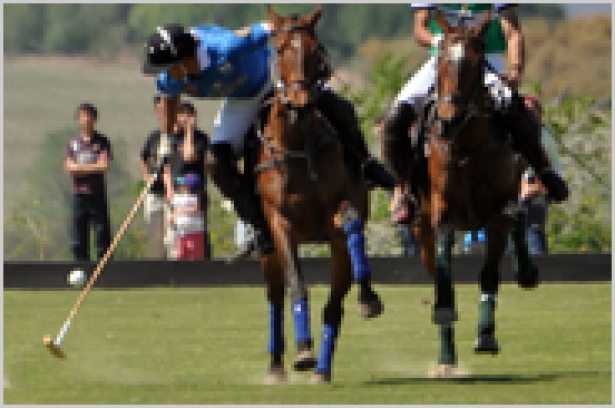 POLO: Domani a Roma il