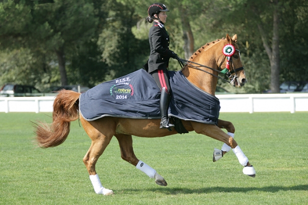 DRESSAGE: Campionati Italiani. Truppa raddoppia ad Arezzo