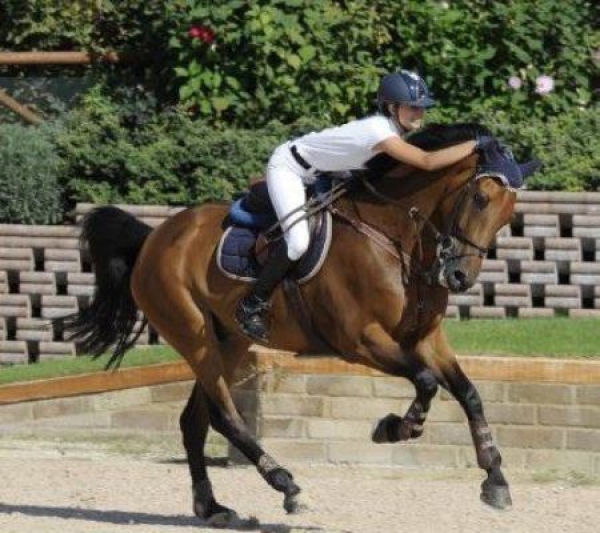 Salto, i giovani azzurri allo CSIO di Reims