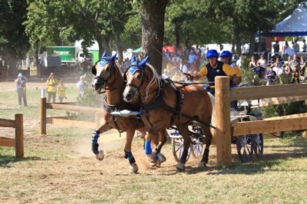 ATTACCHI: Mondiali, Weitlaner sesto