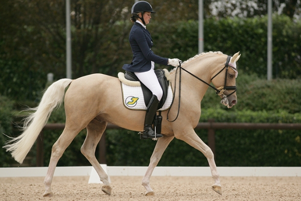 DRESSAGE: Gli azzurrini vincono anche in casa