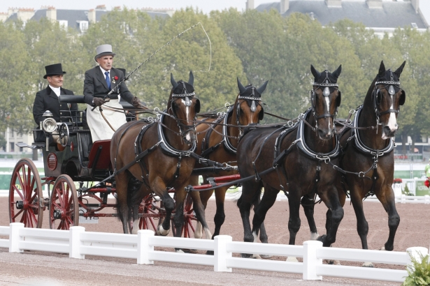 WEG2014: Attacchi. Mascheroni porta a termine il suo Mondiale