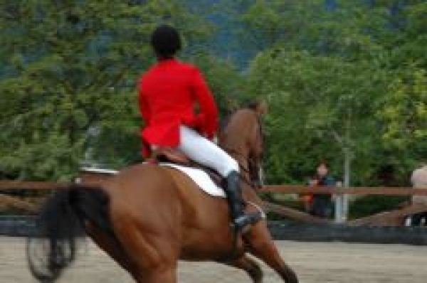 Salto Ostacoli: tornano gli stage in preparazione di Ponyadi e Fieracavalli