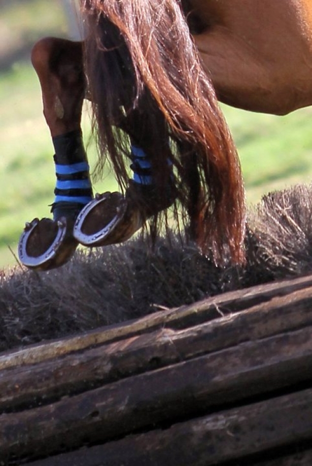 COMPLETO: Campionati Italiani YR. Mantici al comando dopo dressage