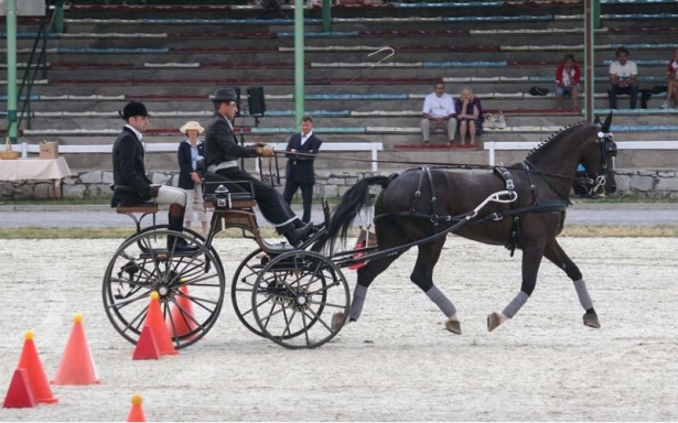 ATTACCHI: I risultati dei Campionati Italiani di completo