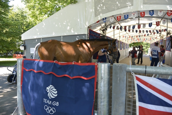 Londra: primi cavalli giunti a Greenwich Park  
