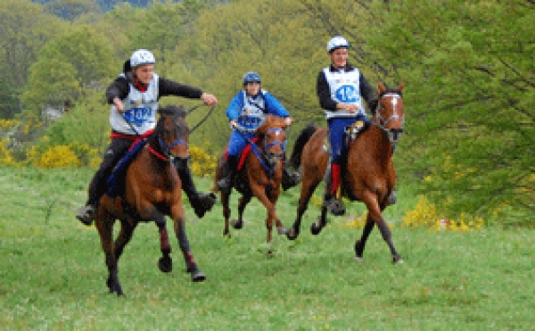 Endurance: si terrà a Vittorito (AQ) la gara di Castel di Sangro del 29 luglio