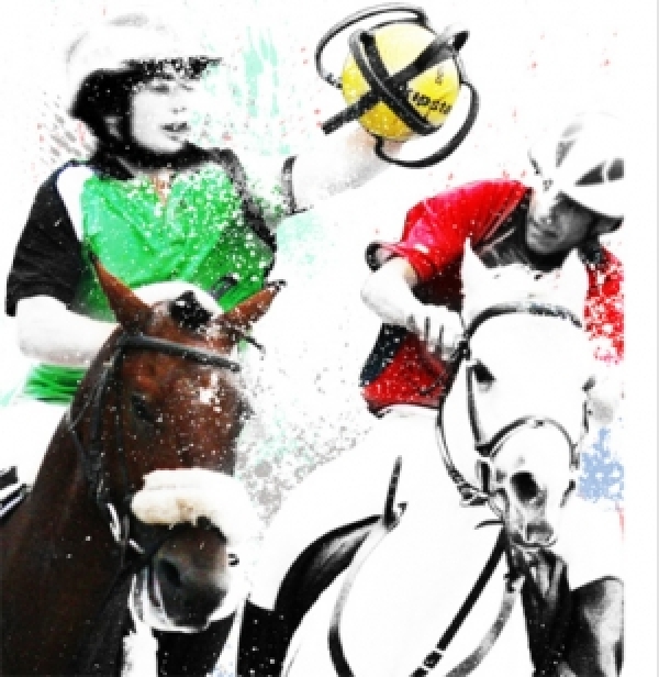 HORSEBALL: alla Francia il titolo Europeo