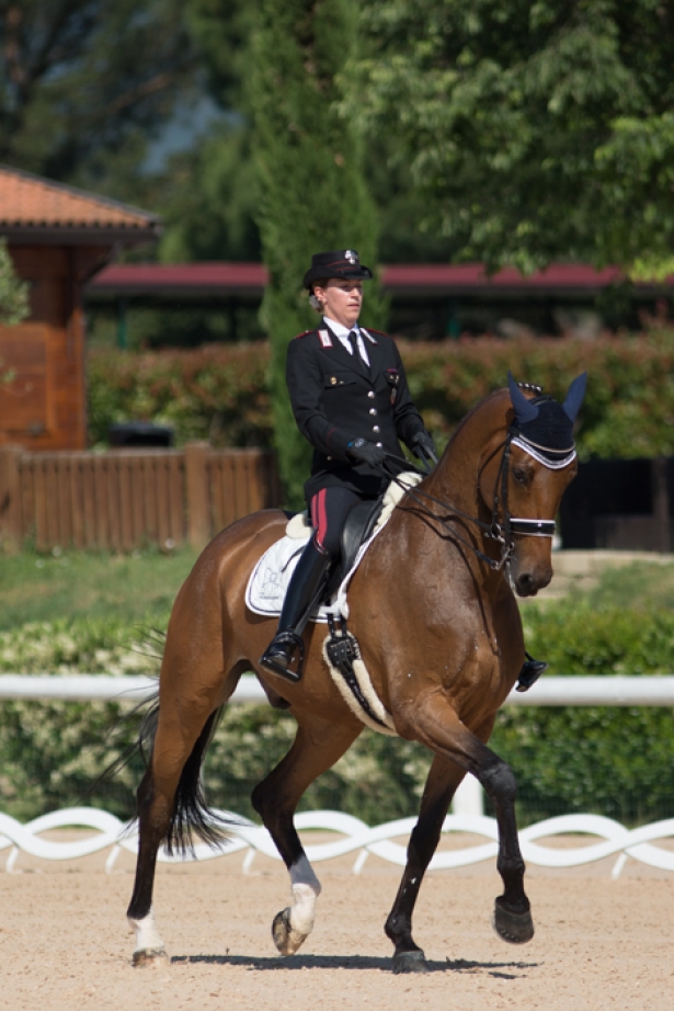 DRESSAGE: Tutto pronto per il CDI di Sommacampagna