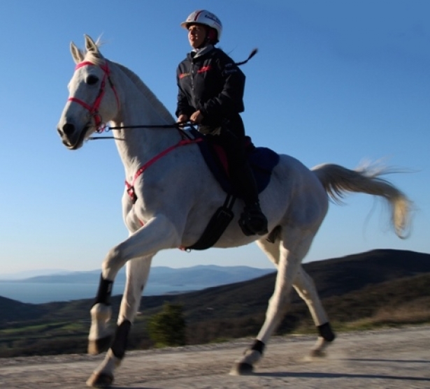 ENDURANCE: Vittoria di Costanza Laliscia a Samorin