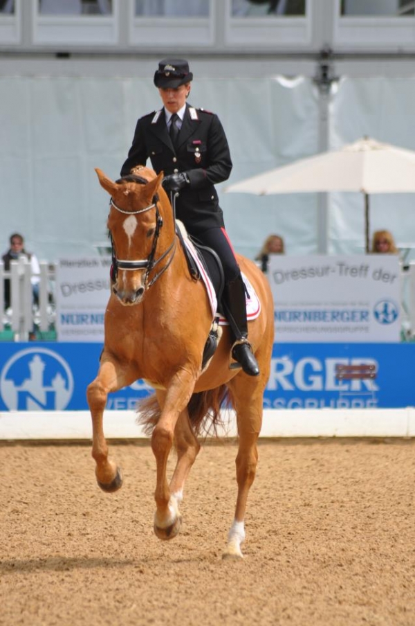 Dressage: Truppa e Chablis secondi nel Freestyle di Vidauban