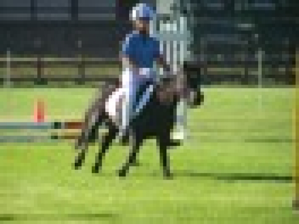 DIPARTIMENTO CLUB: 1° Tappa campionato regionale presso c.i. Equestrian Dream - Chieti -
