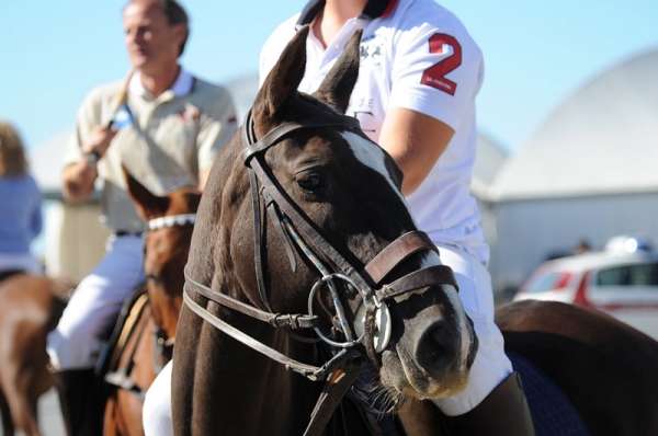 POLO: AL VIA LA 4.a POLO BEACH CUP VIAREGGIO