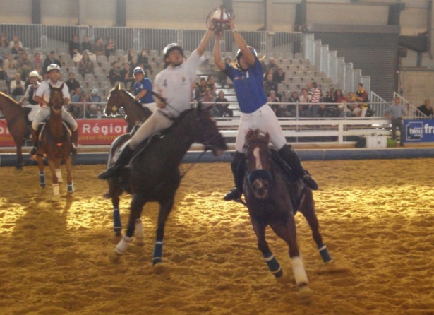 HORSEBALL: Otto cadetti a caccia del titolo continentale