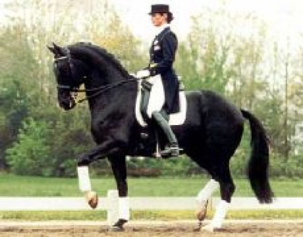 Dressage: spostato a domenica 16 settembre il concorso del 26 agosto all’Area Teaterno