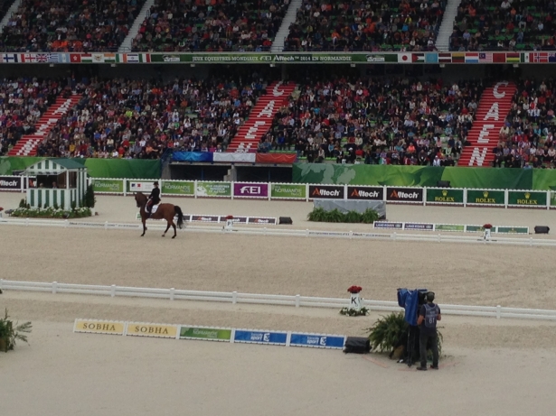 WEG2014: TV. Campionati del Mondo su Rai Sport 2