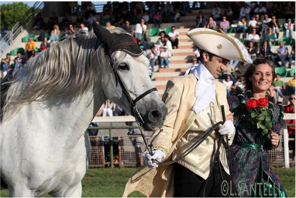 LIVE AID HORSES: un successo della solidarietà!