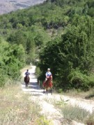 Formazione: a maggio stage di mantenimento istruttori e seminari di riqualifica per tecnici di endurance