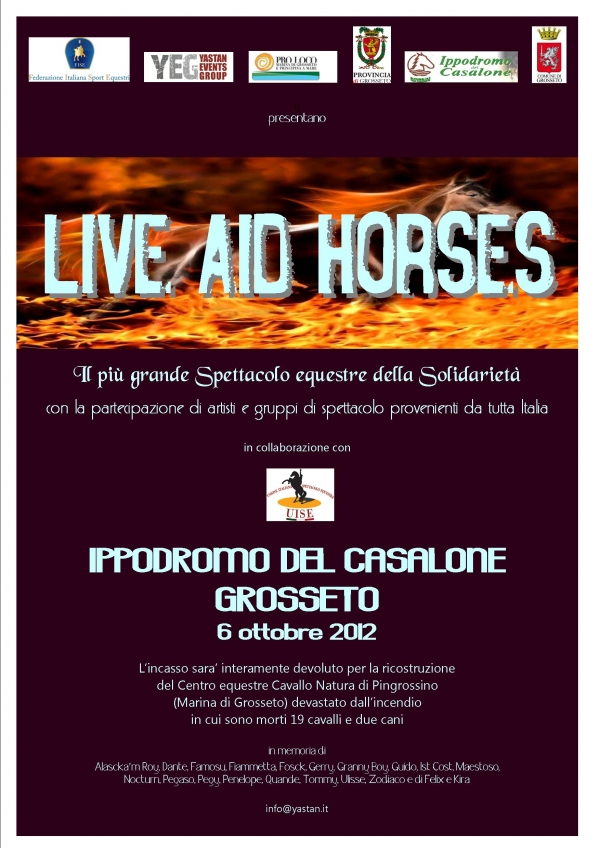 “LIVE AID HORSES”: quando la solidarietà diventa spettacolo