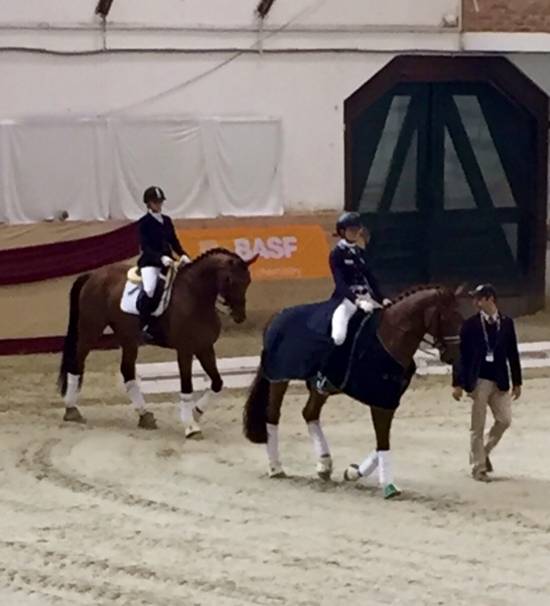 DRESSAGE: Ancora Remold in vetta a Kaposvar