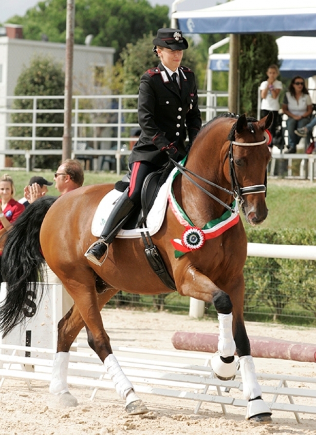 DRESSAGE: Al via il CDI a San Giovanni in Marignano