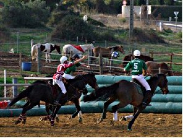 HORSEBALL: I Campionati italiani Pony 2015