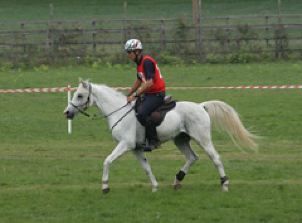 ENDURANCE: Azzurri in Francia ed Emirati Arabi