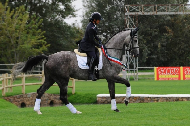 DRESSAGE: Verden, seconda sfida mondiale per i cavalli di 5 anni