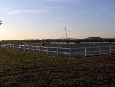 Dressage: tutto pronto per l'internazionale a Caselle di Sommacampagna 