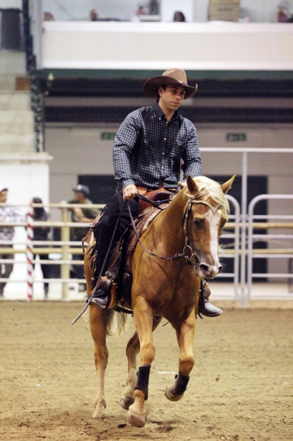 PREFUTURITY ERCHA 2012: comanda Markus Schopfer