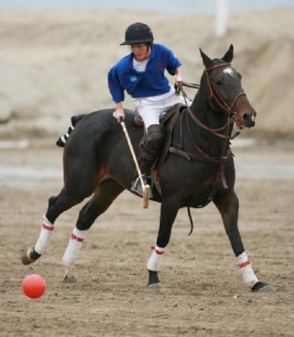 Polo: propulsione all’attività giovanile, impulso alla disciplina 