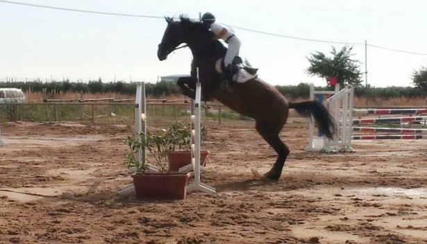 Cavalieri junior I grado selezionabili per Coppa giovani Piazza di Siena 23- 24 maggio 2015